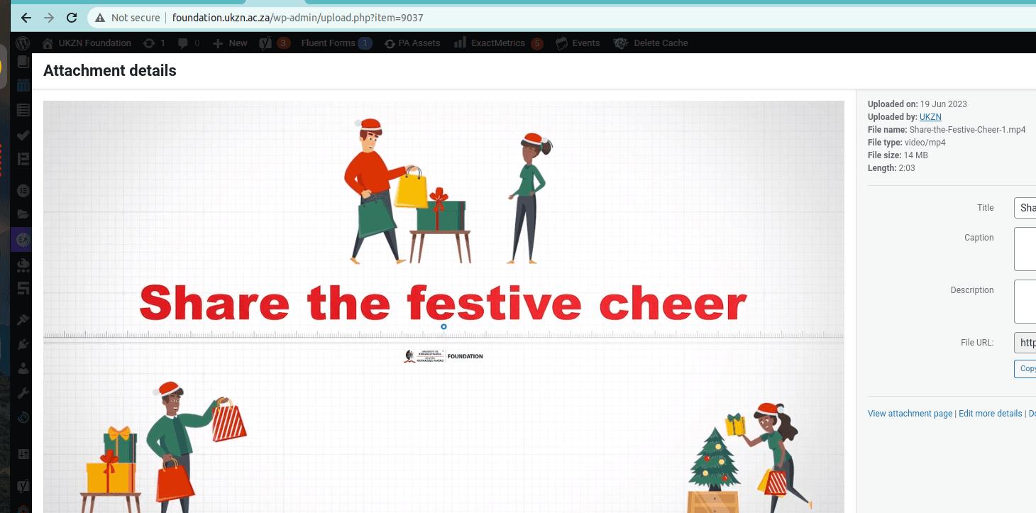 Share the Festive Cheer 1